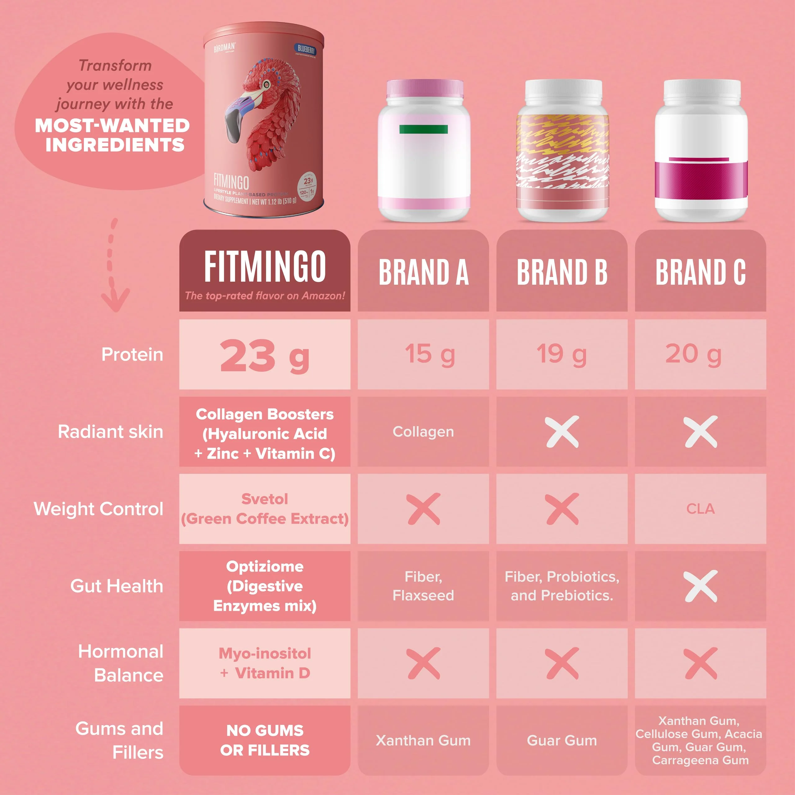 Fitmingo Plant Based Protein Powder - Blueberry Flavor - 1.12lbs - Image 6