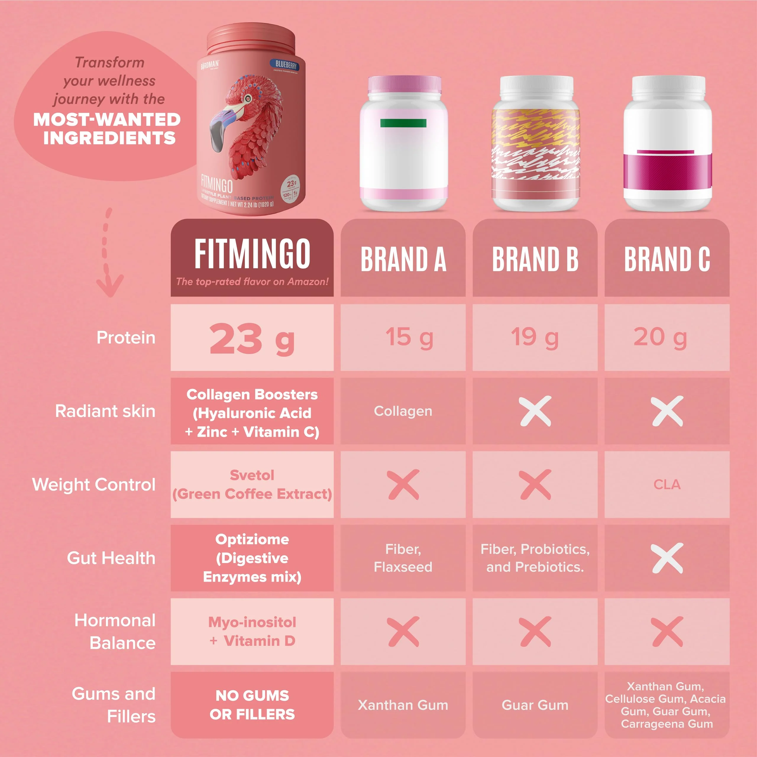 Fitmingo Plant Based Protein Powder - Blueberry Flavor - 2.24lbs - Image 6