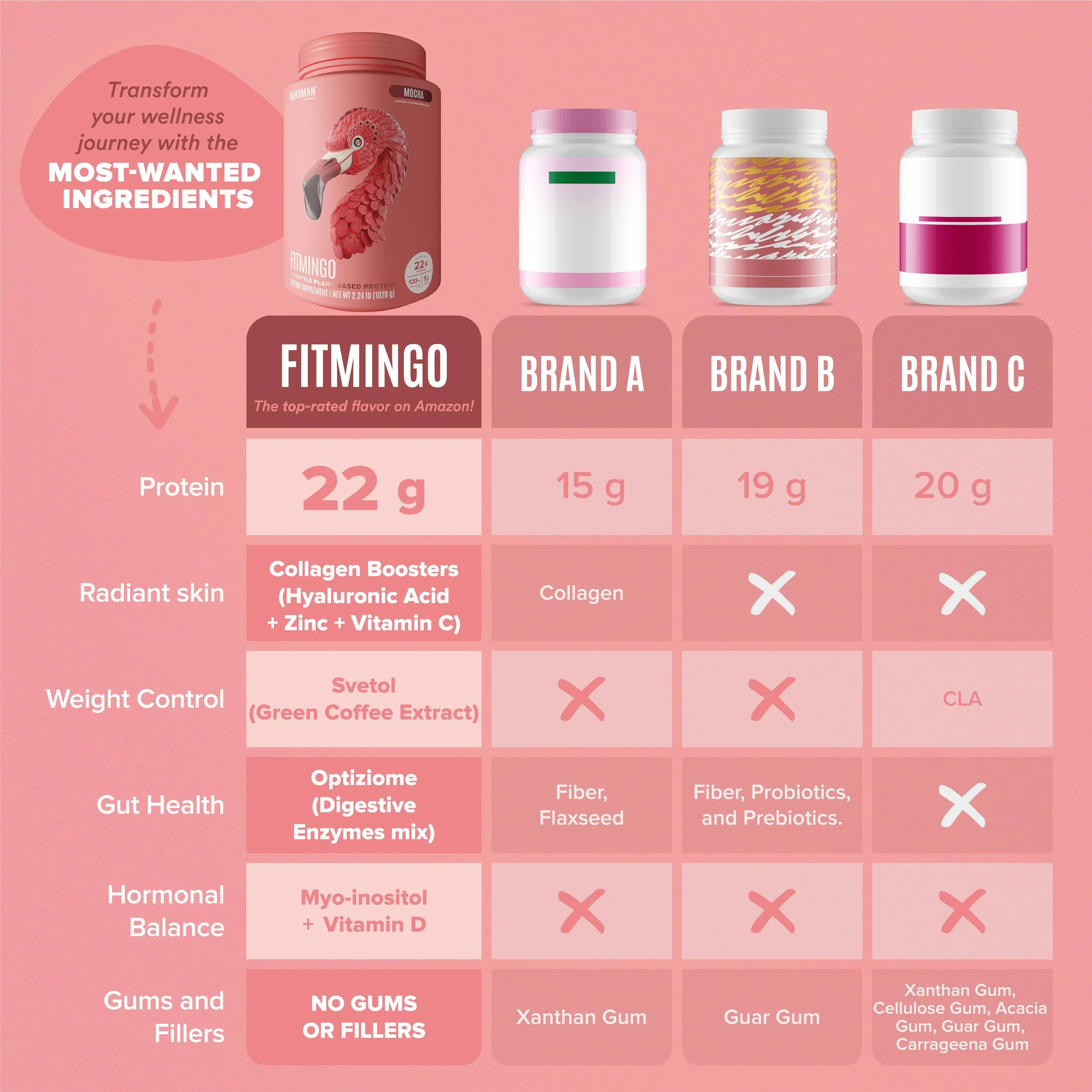 Fitmingo Plant Based Protein Powder - Mocha Flavor - 3.3lbs - Image 6