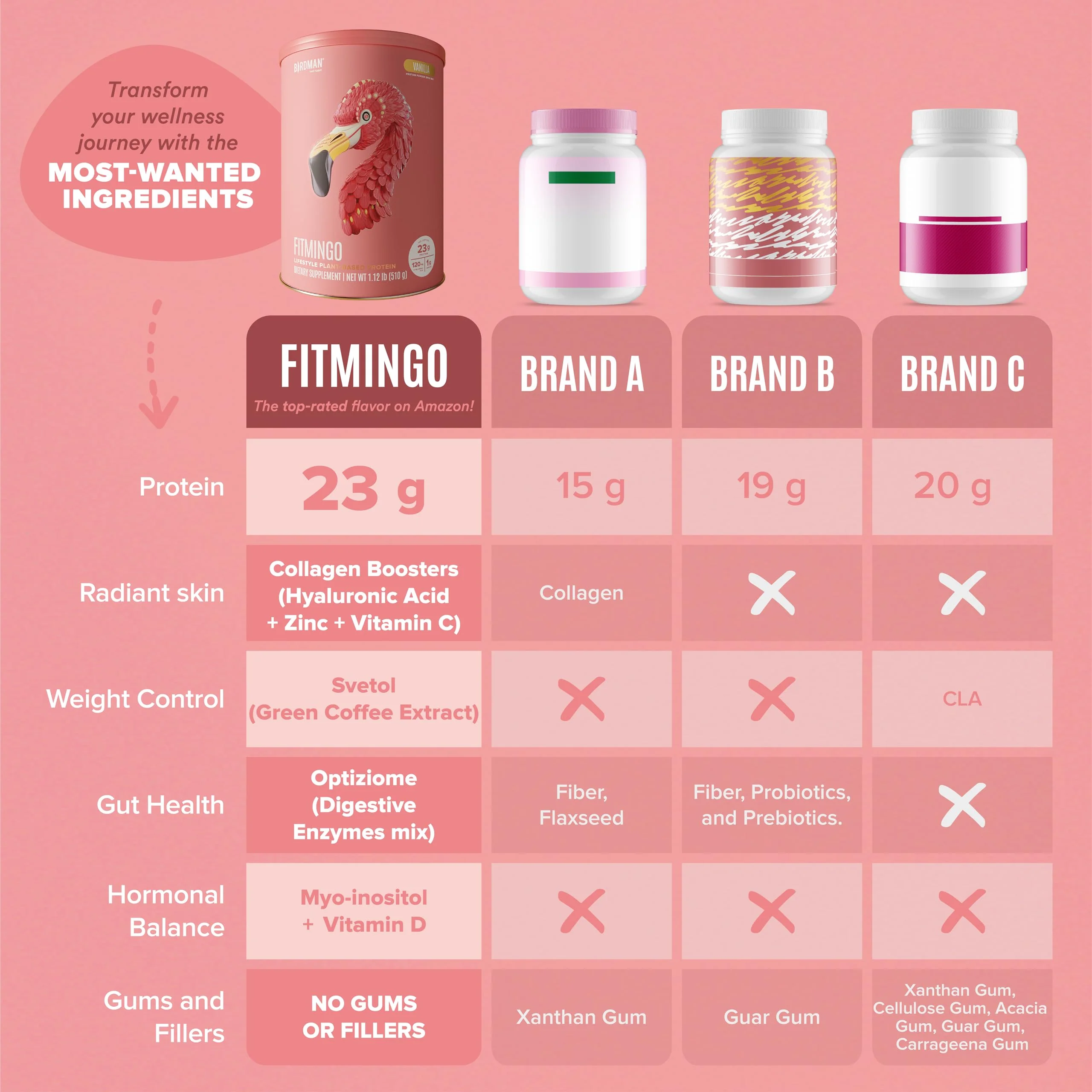 Fitmingo Plant Based Protein Powder - Vanilla Flavor - 1.12lbs PACK - Image 6